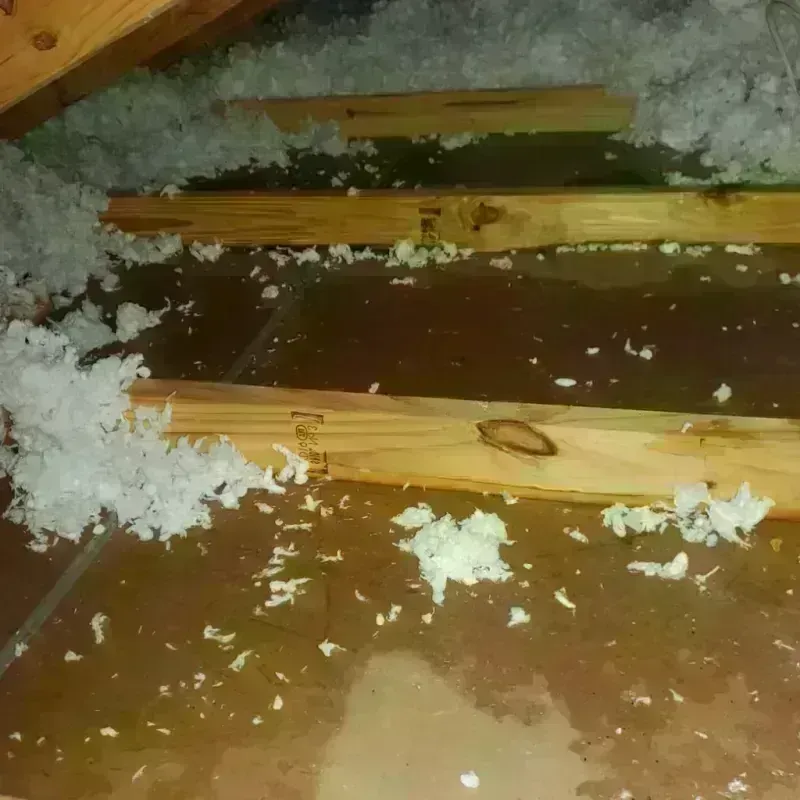 Attic Water Damage in Manning, IA